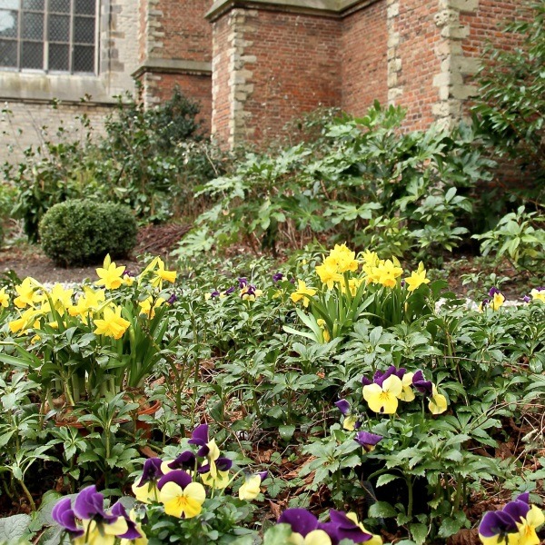 Lente tuin Pieterskerk Leiden